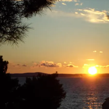 Oasis Zadar