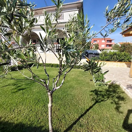 Oasis